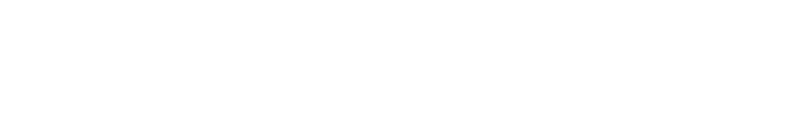 Bron Logo